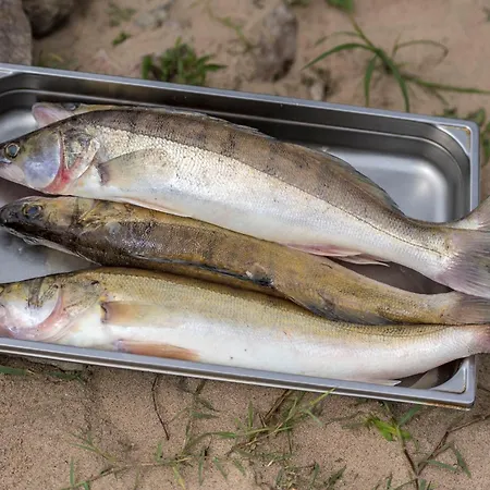 De La Loire 3* Montjean-sur-Loire