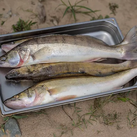 De La Loire Szálloda 3*