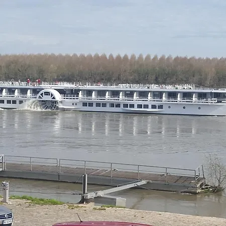 De La Loire 酒店 Montjean-sur-Loire