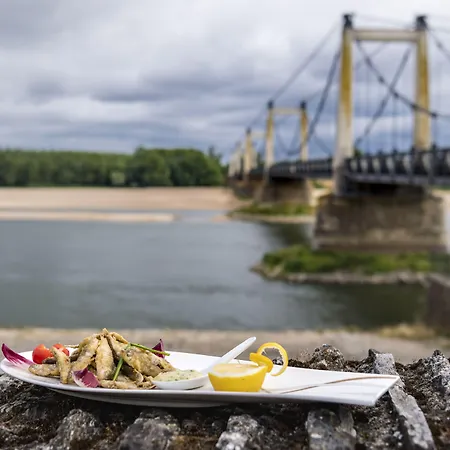 酒店 De La Loire Montjean-sur-Loire